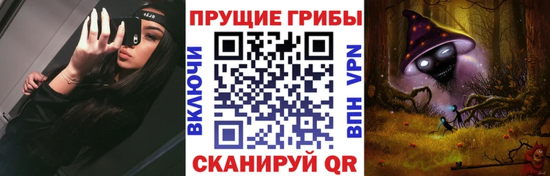 omg сайт  Конаково  Псилоцибиновые грибы Magic Shrooms 